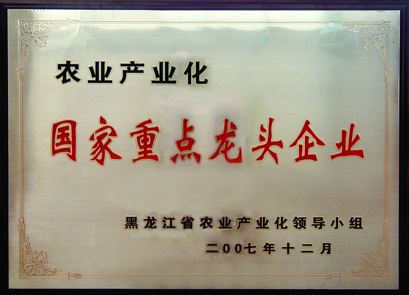 國家重點龍頭企業.jpg